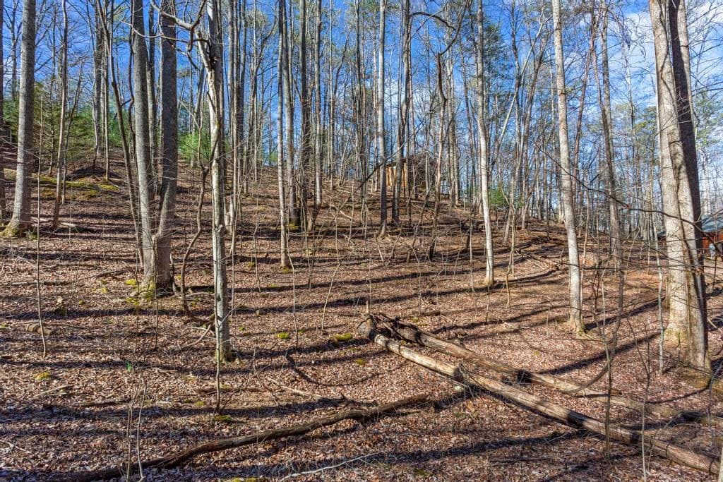 0 Sleepy Hollow Road, Ellijay GA 30536 - Photo