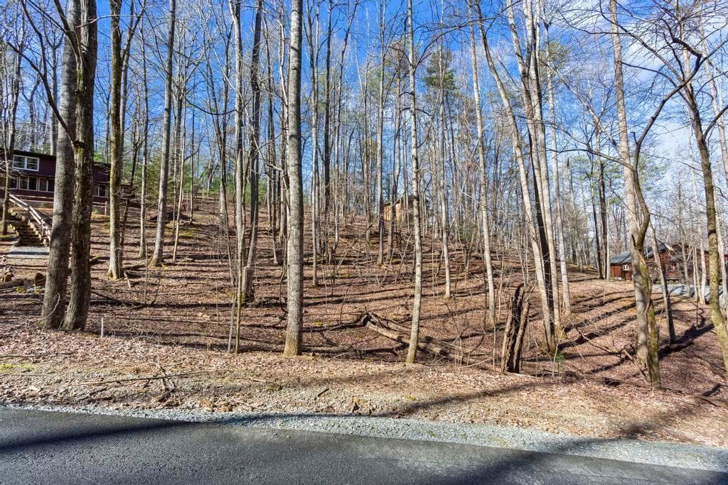 0 Sleepy Hollow Road, Ellijay GA 30536 - Primary photo