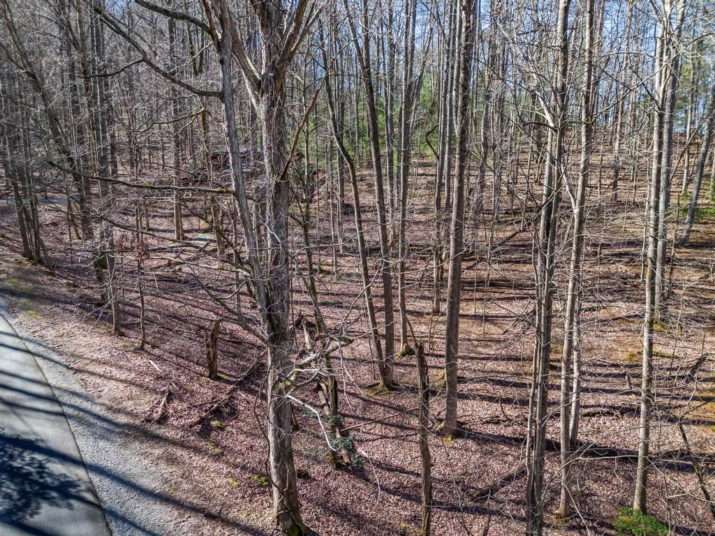 0 Sleepy Hollow Road, Ellijay GA 30536 - Photo