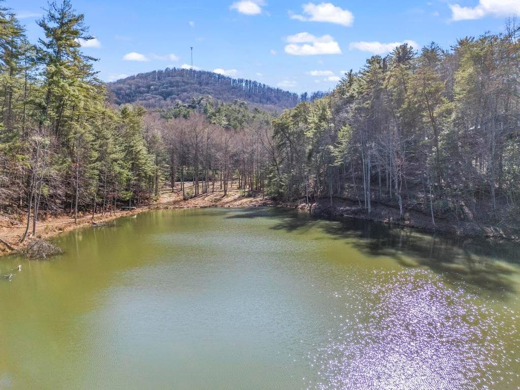 0 Sleepy Hollow Road, Ellijay GA 30536 - Photo