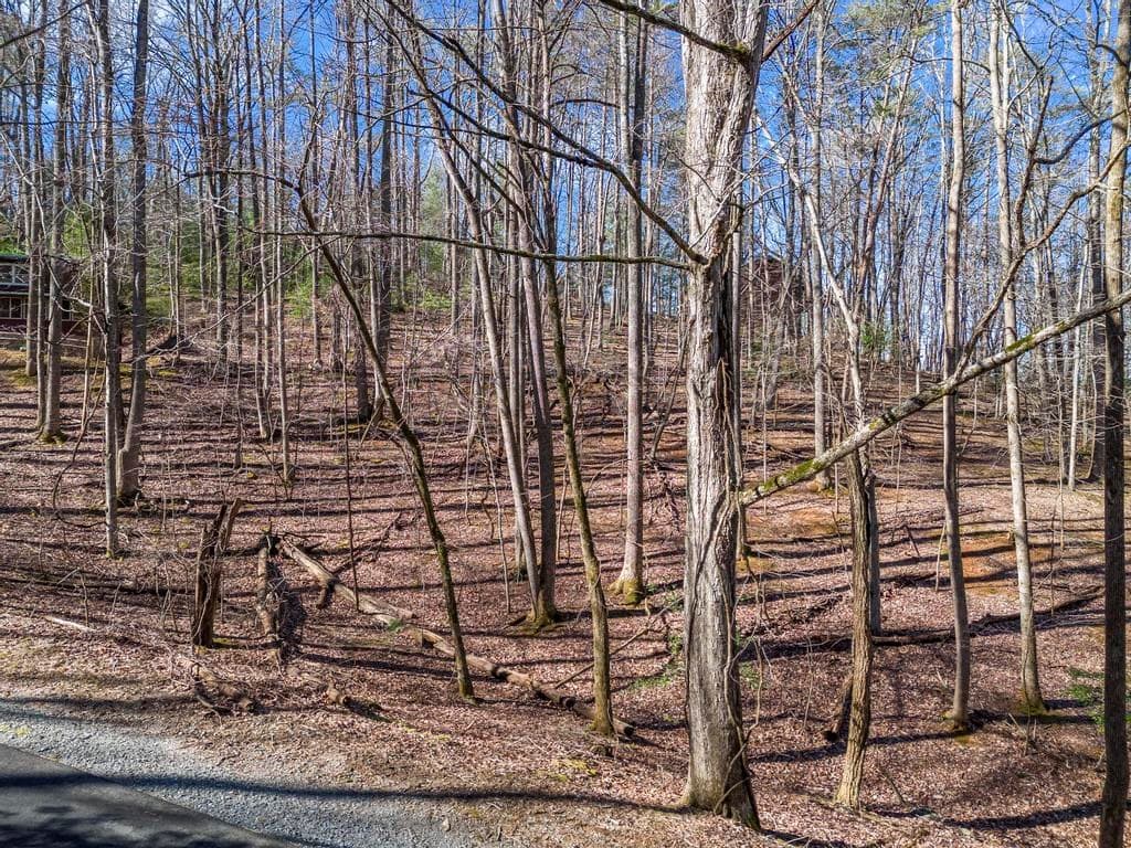 0 Sleepy Hollow Road, Ellijay GA 30536 - Photo
