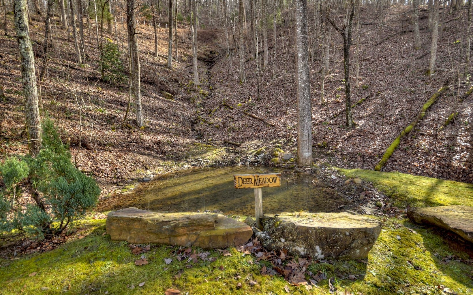 62 Old Covered Bridge, Cherry Log GA 30522 - Photo