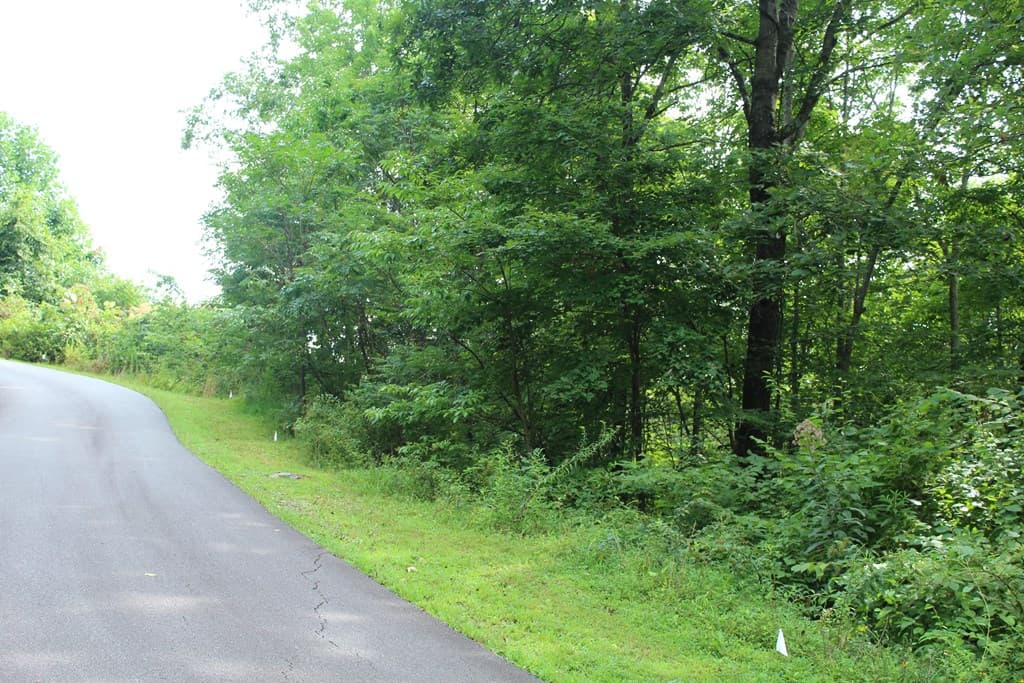 Lot 26 Trillium Heights Circle, Hayesville NC 28904 - Photo