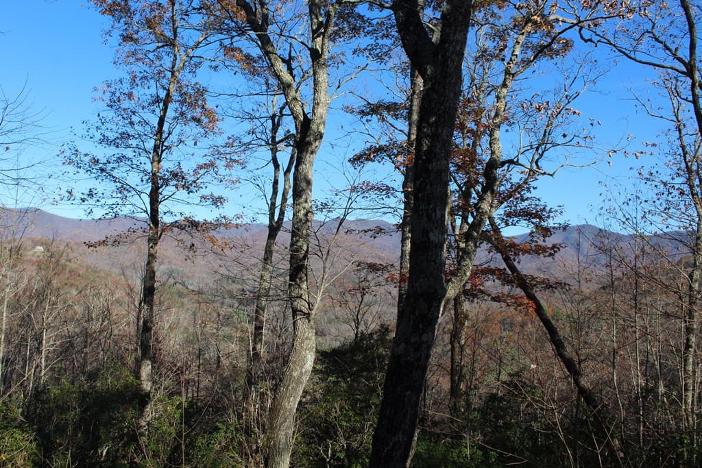 1 Gabriel Ridge, Hayesville NC 28904 - Photo