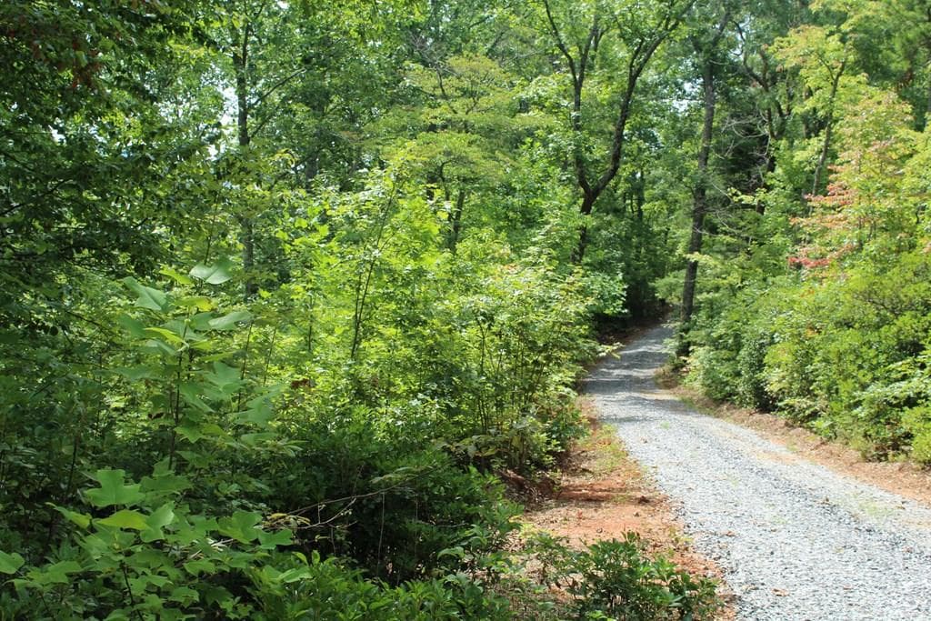 1 Gabriel Ridge, Hayesville NC 28904 - Photo