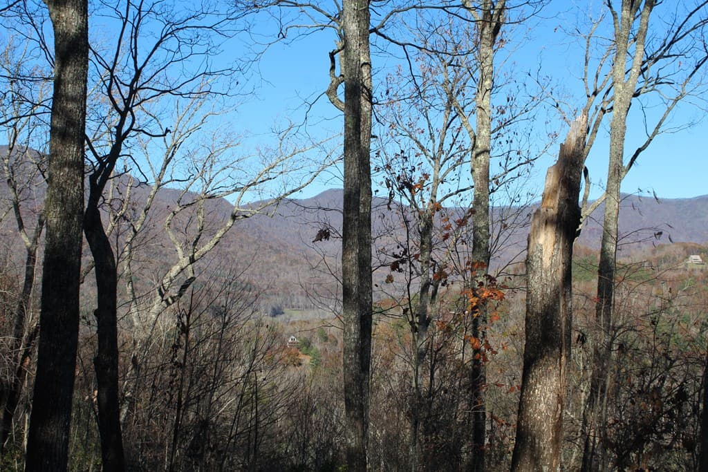1 Gabriel Ridge, Hayesville NC 28904 - Photo
