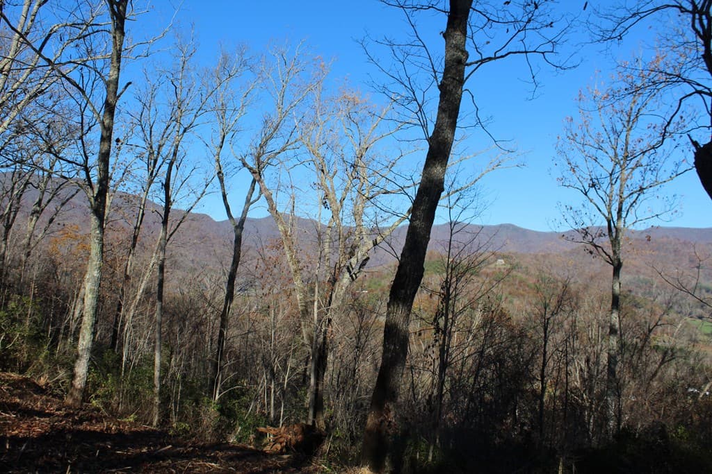 2 Gabriel Ridge, Hayesville NC 28904 - Photo