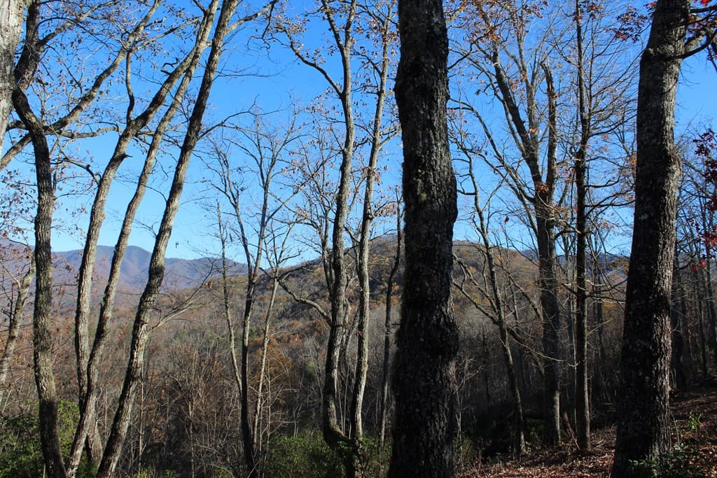 2 Gabriel Ridge, Hayesville NC 28904 - Photo
