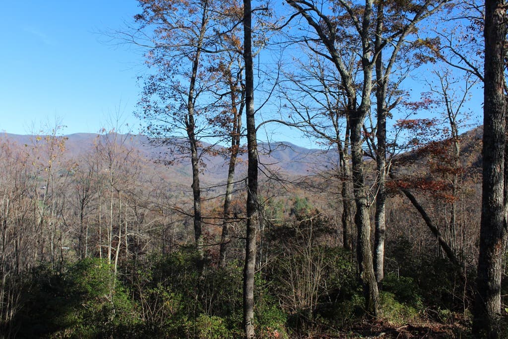 2 Gabriel Ridge, Hayesville NC 28904 - Photo