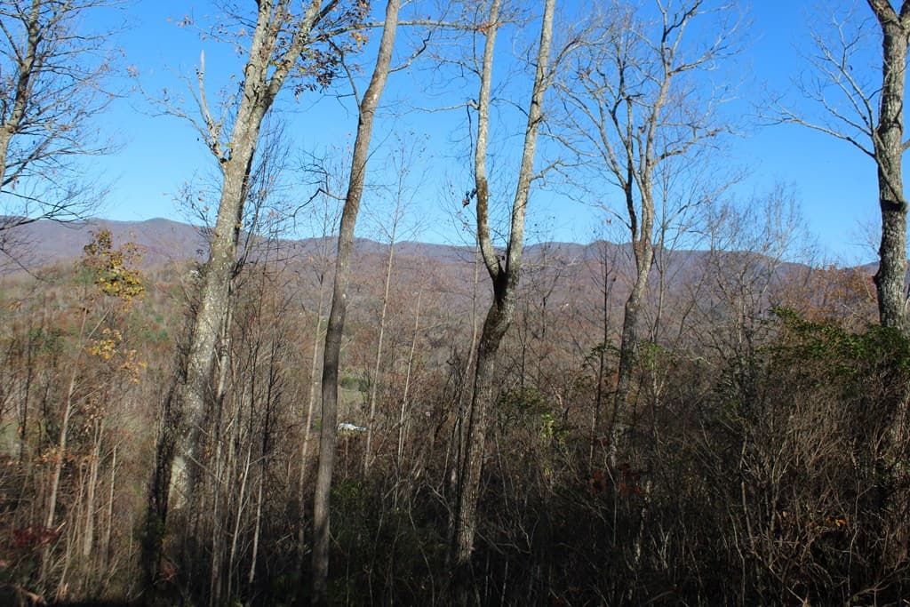 2 Gabriel Ridge, Hayesville NC 28904 - Photo