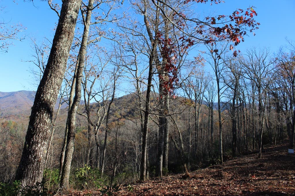 2 Gabriel Ridge, Hayesville NC 28904 - Photo