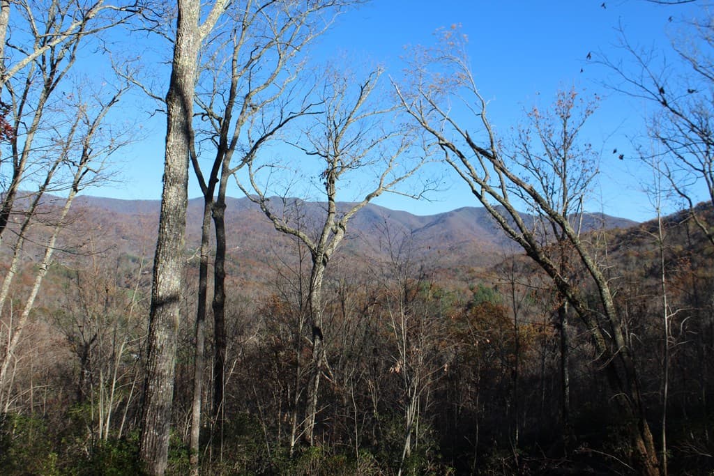 2 Gabriel Ridge, Hayesville NC 28904 - Photo