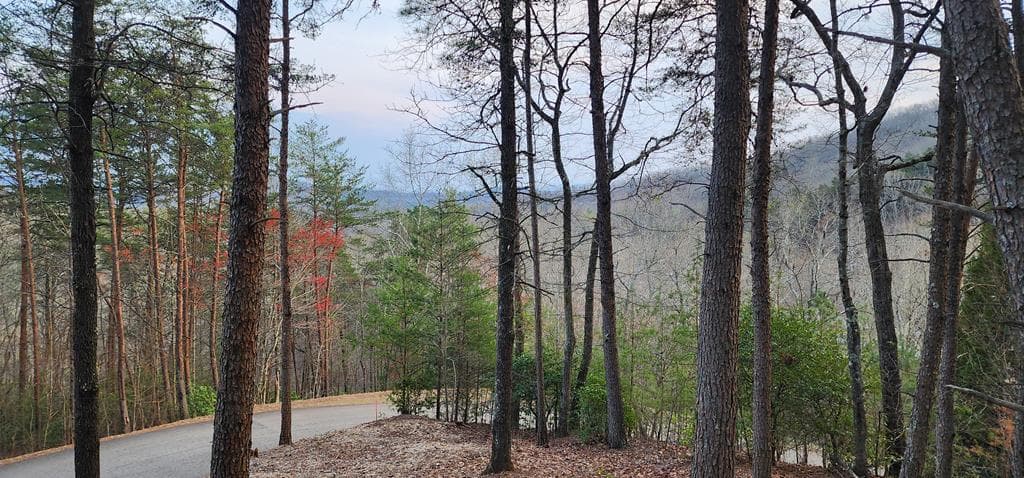 34 Wilderness Creek Way, Murphy NC 28906 - Primary photo