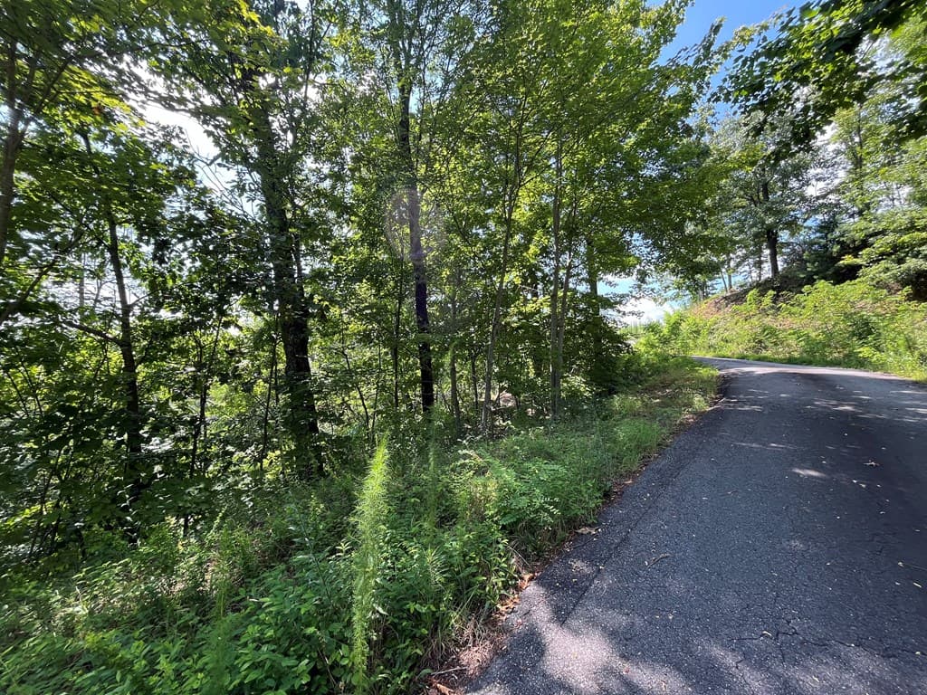 Lot 14 Bell Lake View, Hayesville NC 28904 - Photo