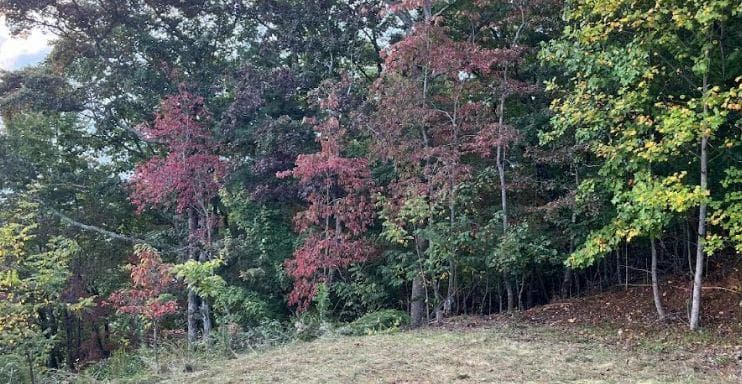 Lot 14 Bell Lake View, Hayesville NC 28904 - Photo