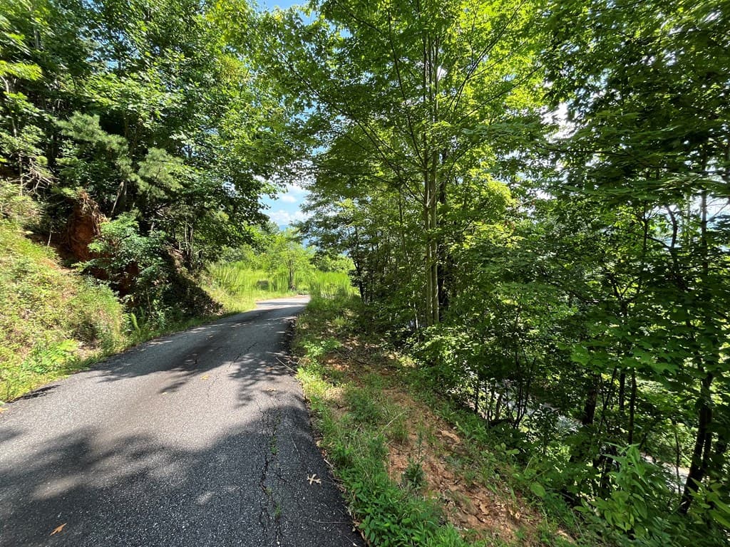 Lot 14 Bell Lake View, Hayesville NC 28904 - Photo