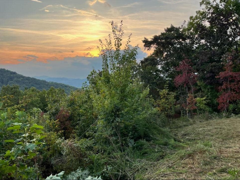 Lot 14 Bell Lake View, Hayesville NC 28904 - Photo