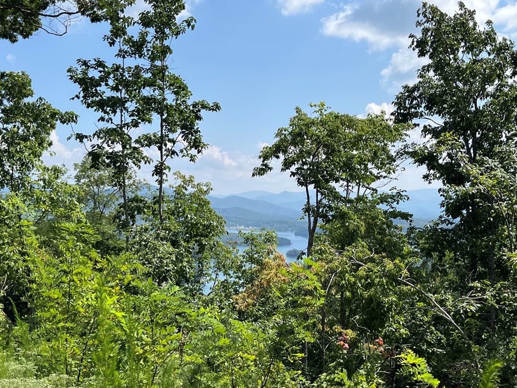 Lot 14 Bell Lake View, Hayesville NC 28904 - Photo