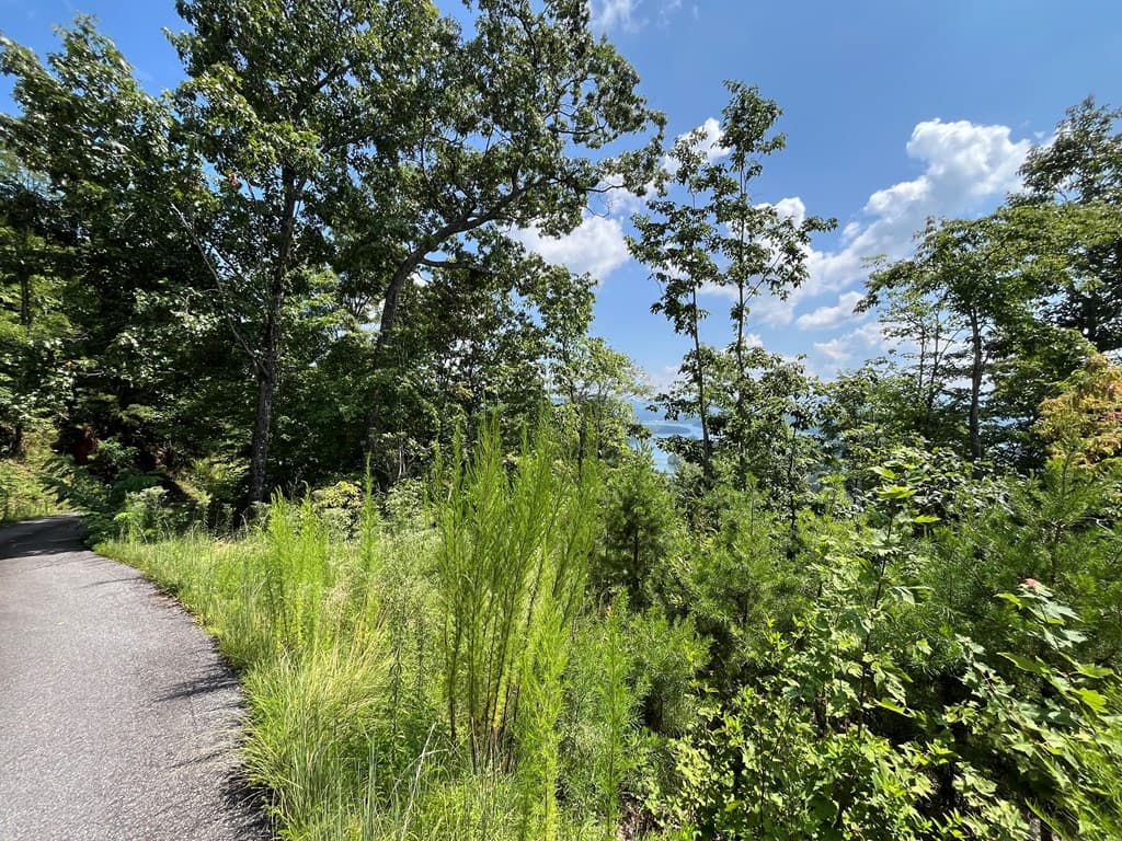 Lot 14 Bell Lake View, Hayesville NC 28904 - Photo