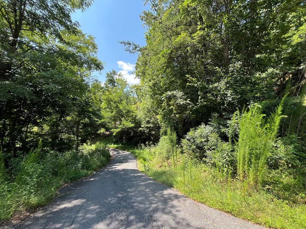 Lot 14 Bell Lake View, Hayesville NC 28904 - Photo