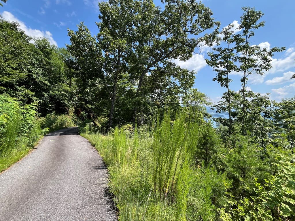 Lot 14 Bell Lake View, Hayesville NC 28904 - Photo