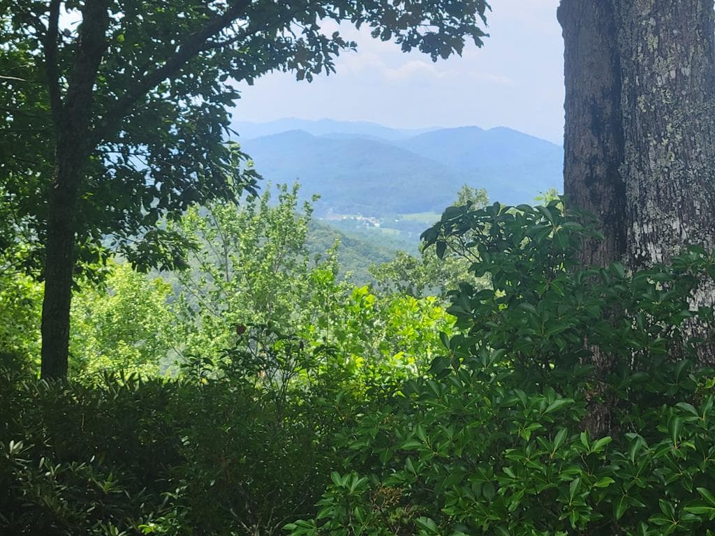 Lot 24 Double Knob Drive E, Hayesville NC 28904 - Primary photo