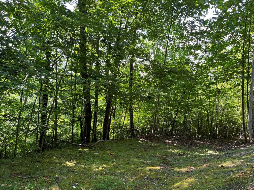 Lot 24 Double Knob Drive E, Hayesville NC 28904 - Photo
