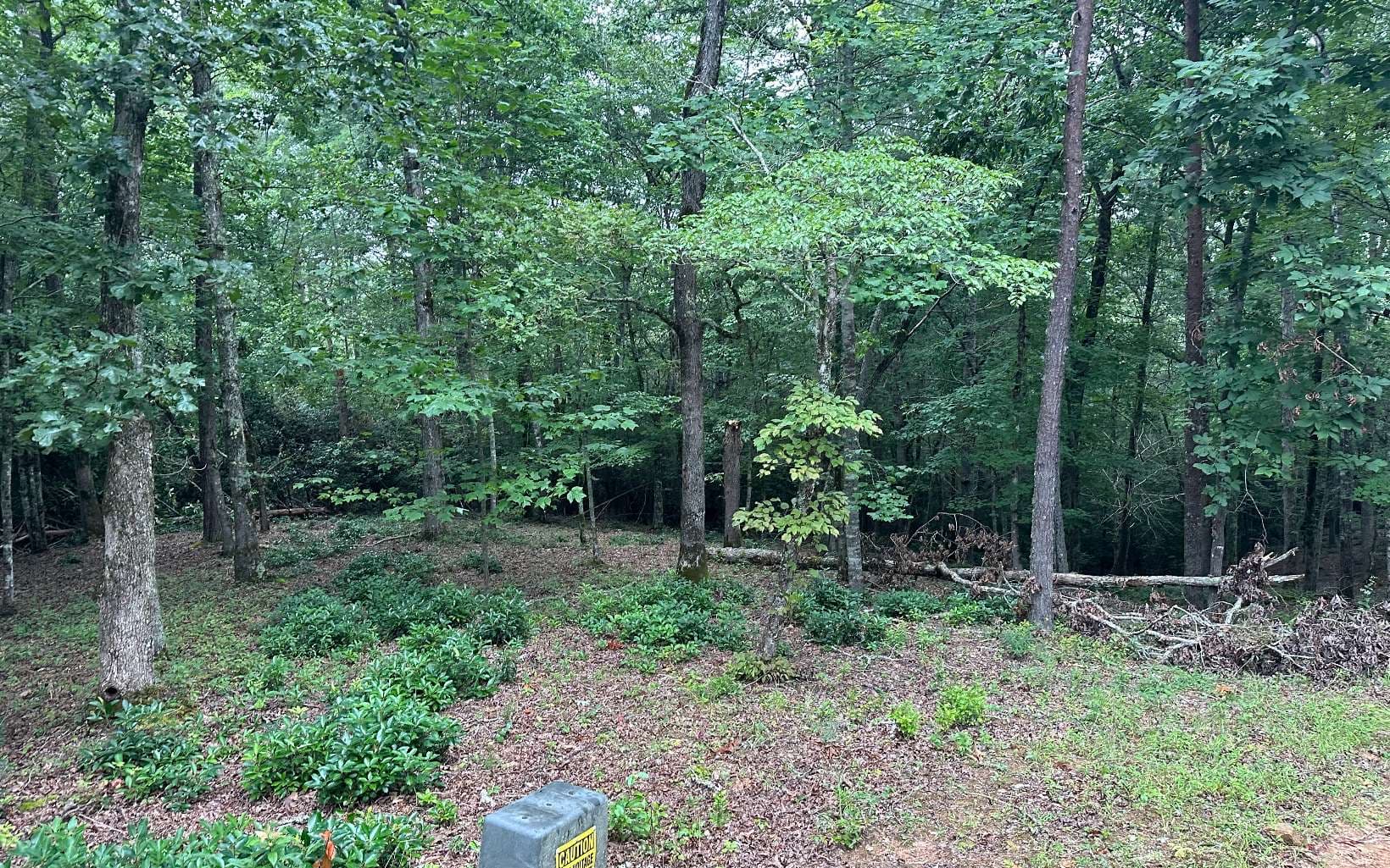 Lot 22 Brasstown Trails, Warne NC 28909 - Photo