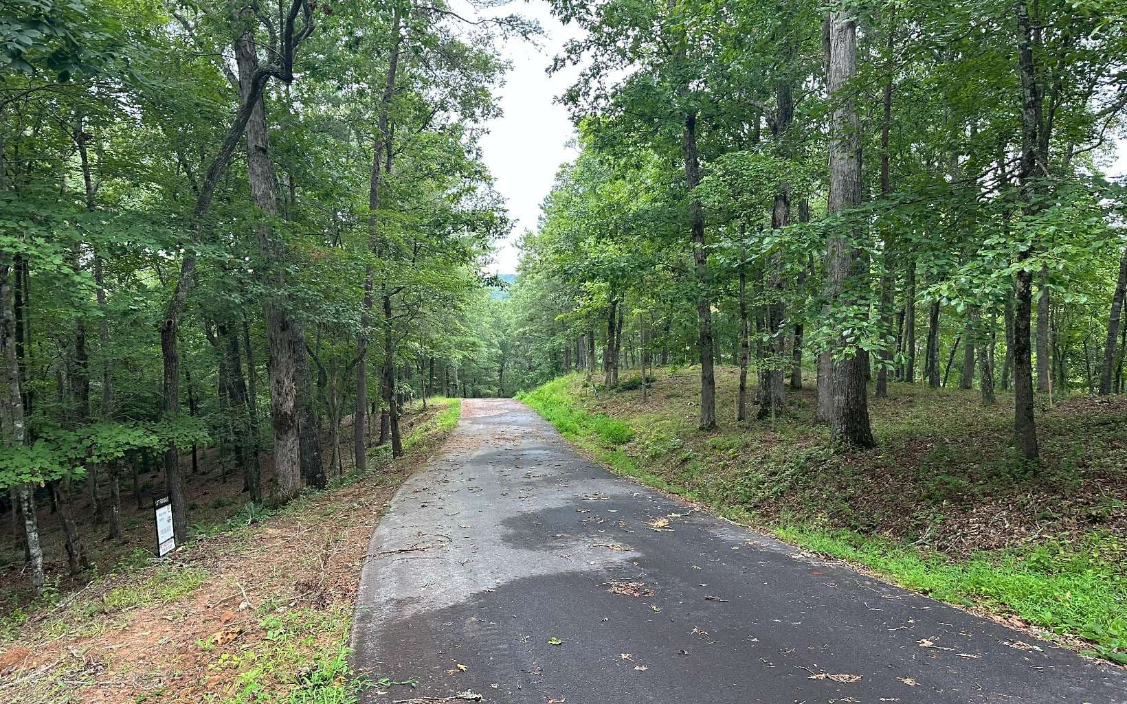Lot 22 Brasstown Trails, Warne NC 28909 - Photo
