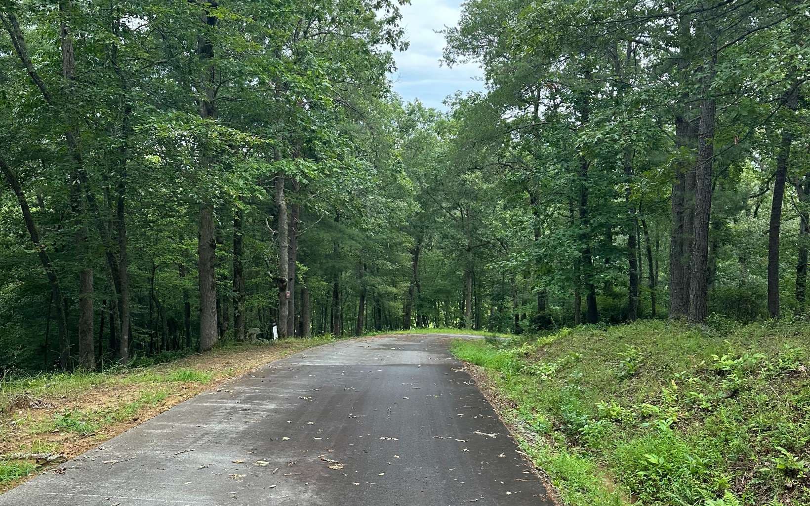 Lot 22 Brasstown Trails, Warne NC 28909 - Photo