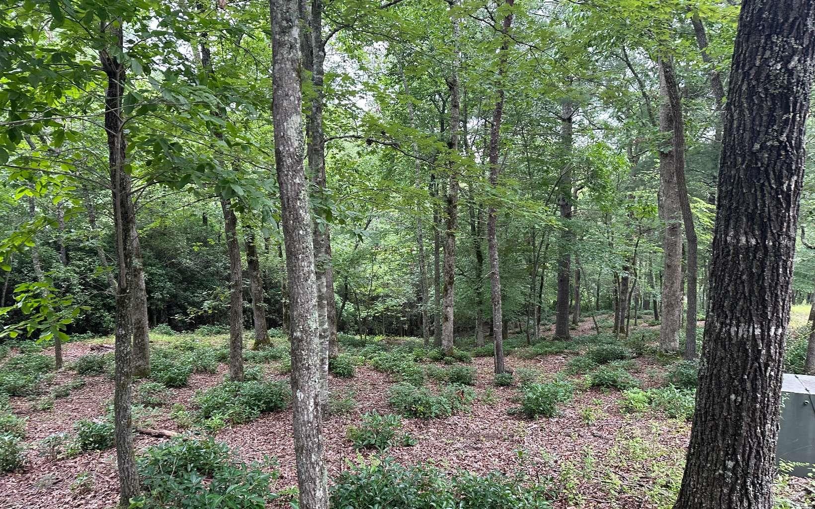 Lot 21 Brasstown Trails, Warne NC 28909 - Photo
