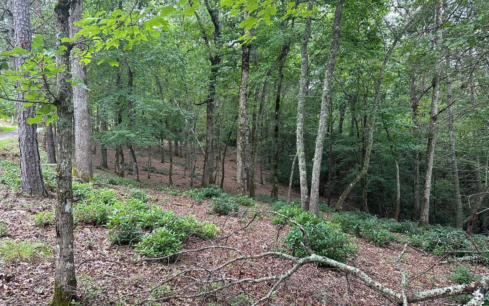 Lot 21 Brasstown Trails, Warne NC 28909 - Photo