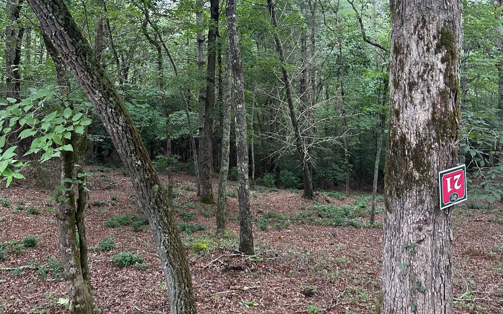Lot 21 Brasstown Trails, Warne NC 28909 - Photo
