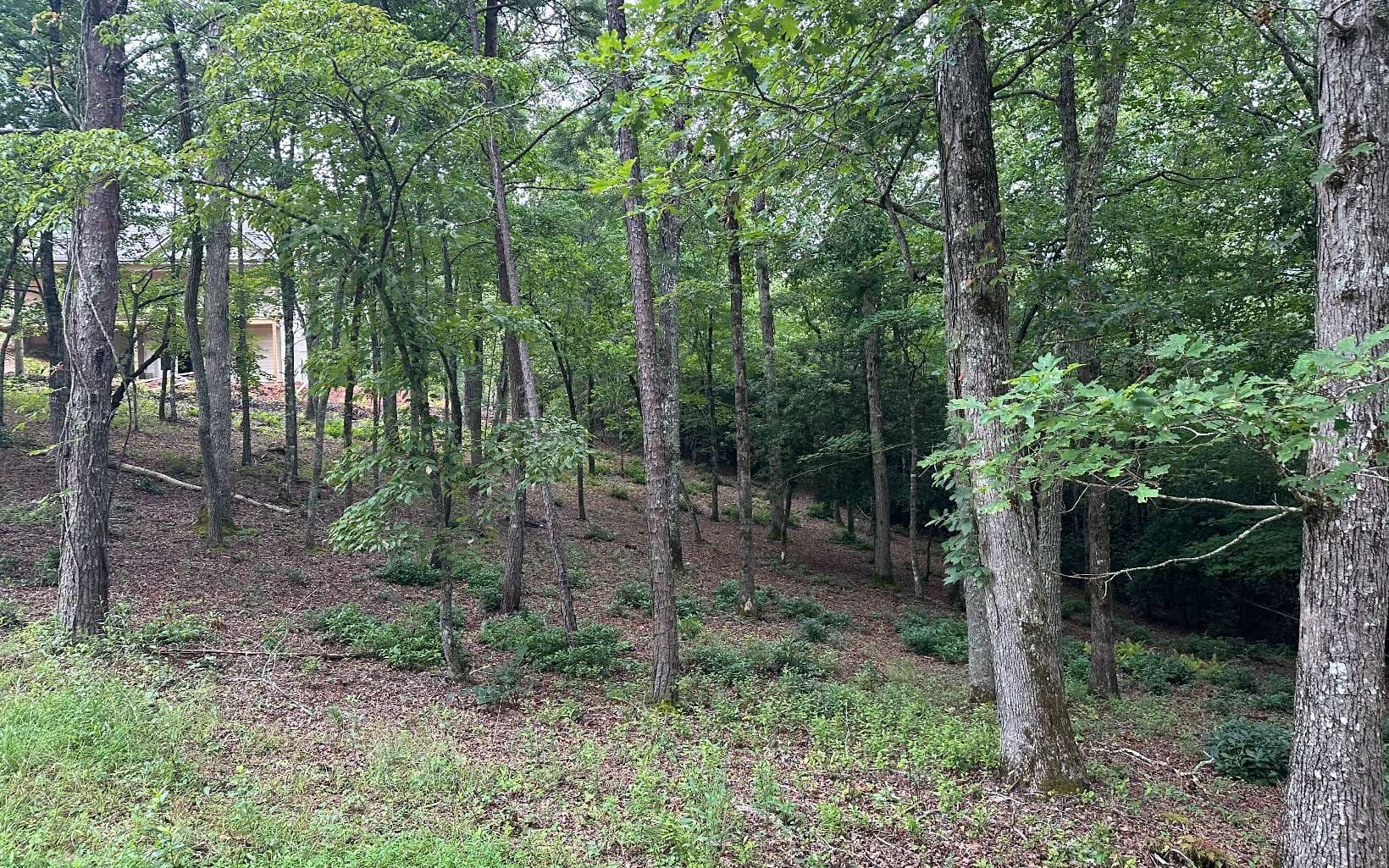 Lot 21 Brasstown Trails, Warne NC 28909 - Photo