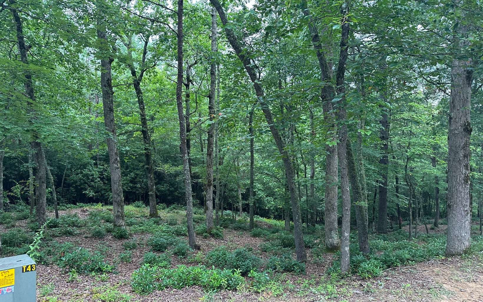 Lot 21 Brasstown Trails, Warne NC 28909 - Photo