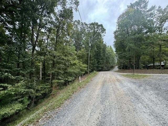 L811 Myna Drive, Ellijay GA 30540 - Photo