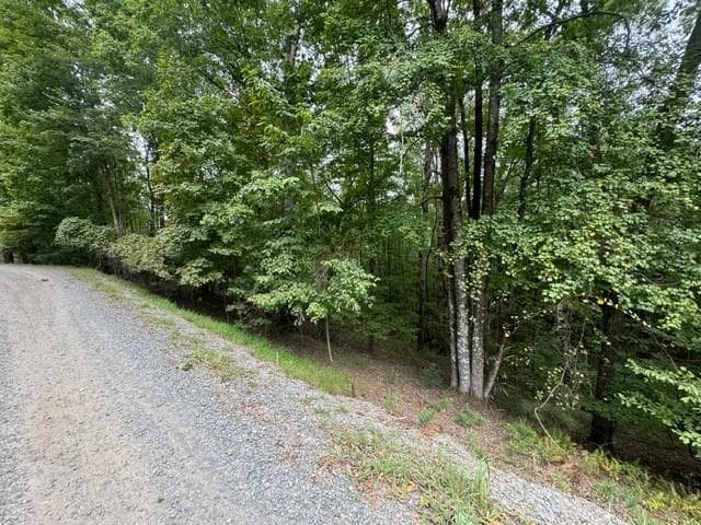 L811 Myna Drive, Ellijay GA 30540 - Photo