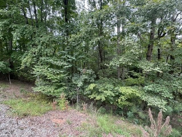 L811 Myna Drive, Ellijay GA 30540 - Photo