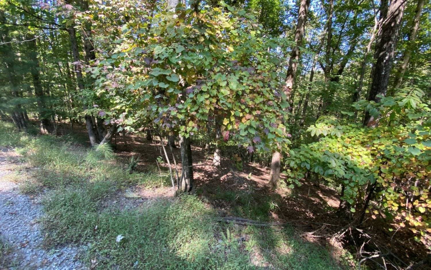 L811 Myna Drive, Ellijay GA 30540 - Primary photo