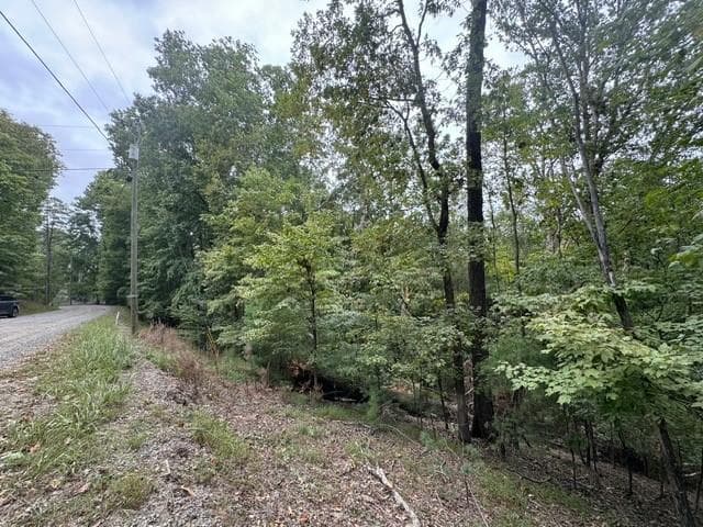 L811 Myna Drive, Ellijay GA 30540 - Photo
