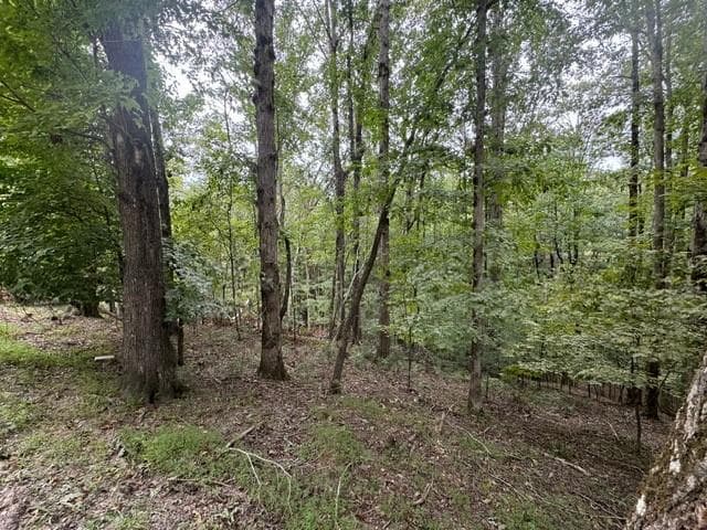 L811 Myna Drive, Ellijay GA 30540 - Photo