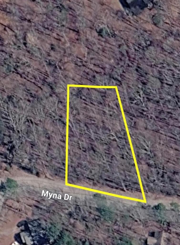 L811 Myna Drive, Ellijay GA 30540 - Photo