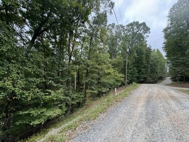 L811 Myna Drive, Ellijay GA 30540 - Photo
