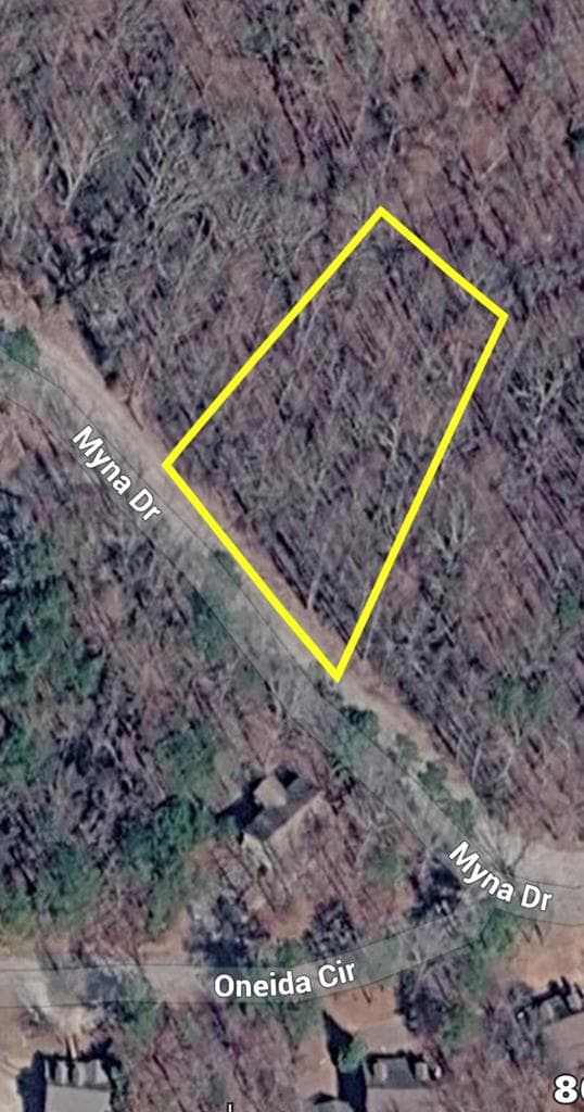 L811 Myna Drive, Ellijay GA 30540 - Photo