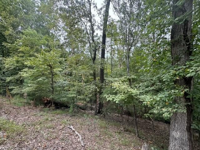 L811 Myna Drive, Ellijay GA 30540 - Photo