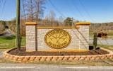 L812 Myna Drive, Ellijay GA 30540 - Photo