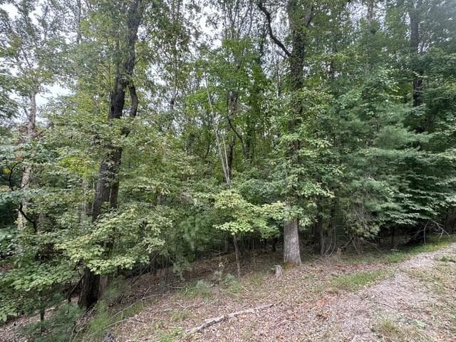 L812 Myna Drive, Ellijay GA 30540 - Photo