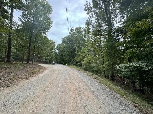 L812 Myna Drive, Ellijay GA 30540 - Photo