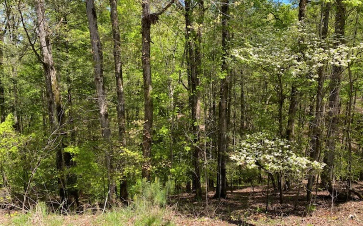 L812 Myna Drive, Ellijay GA 30540 - Primary photo