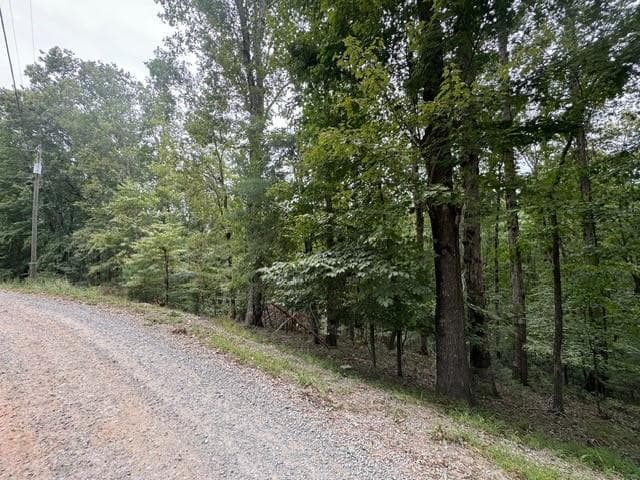L812 Myna Drive, Ellijay GA 30540 - Photo
